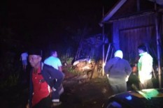 Banjir Bandang dan Tanah Longsor Probolinggo Tewaskan Seorang Warga