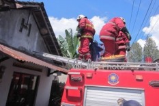 Disengat Tawon Sekujur Tubuh, Warga Sukoharjo Meninggal