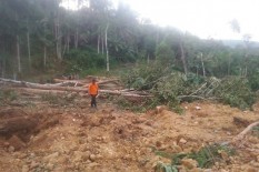 4.211 Orang di Indonesia Tewas Akibat Bencana Sepanjang Tahun Ini