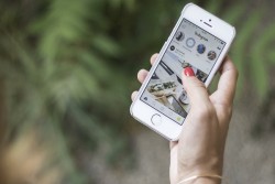 Instagram Akan Rilis Fitur Khusus untuk Seleb