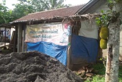 Dapat Bantuan Rp25 Juta, Herman Tak Lagi Tinggal di Kandang Ayam