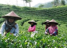 Saatnya Berpetualang, Ini Rekomendasi Objek Wisatanya