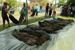 Terkubur 14 Tahun, 45 Jasad Korban Tsunami Aceh Ditemukan Terbungkus Kantong Plastik