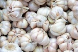 Bahan Makanan Ini Bermanfaat bagi Kulit Anda