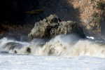 Ini Sebabnya Kenapa Gempa Talaud Magnitudo 7,1 Tidak Picu Tsunami