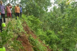 Talut di Ponjong Gunungkidul Longsor Usai Diguyur Hujan Berhari-hari