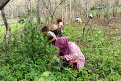 Hari-Hari Menyenangkan pada Awal Musim Hujan di Gunungkidul