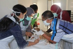 FEATURE: Klinik Hewan 24 Jam, Melayani Kucing hingga Sapi