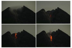 Gunung Merapi Keluarkan Guguran Lava 30 Kali Setiap Hari