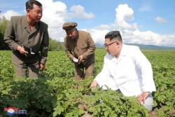 PBB: Seluruh Wilayah Korea Utara Ibarat Penjara