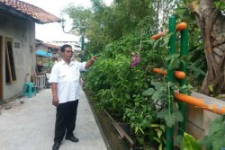 Puluhan Hektare Kawasan Kumuh di Kota Jogja Dibereskan Tahun ini