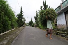 Cetak Rekor Terlama, Sudah 8 Bulan Gunung Merapi Berstatus Waspada
