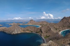 Taman Nasional Komodo Akan Ditutup Setahun