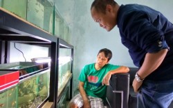 KOMUNITAS: IGPA, Berkumpul Mencintai Keindahan Ikan Guppy