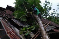 Ini Dia, di Sleman, Rumah Rusak karena Pohon Tumbang Disubsidi Pemerintah