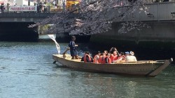 Di Tokyo Ada Tempat Wisata Gratis Lho, Lumayan Hemat Uang Saku