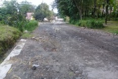 Rp7 Miliar Disiapkan untuk Rehab Jalur Evakuasi Merapi di Klaten..