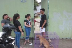 3 Bulan Terkurung di Dalam Gudang Sitaan, 3 Anjing Kampung Dievakuasi