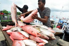 OPINI: Memacu KUR untuk Sektor Produktif