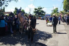 Kirab Budaya Karangsari Angkat Potensi Desa