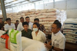 Menteri BUMN Pastikan Stok Pupuk Bersubsidi Aman untuk 3 Bulan ke Depan