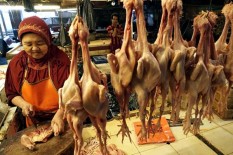 Pemerintah Kucurkan Rp1,1 Triliun untuk Revitalisasi 1.030 Pasar Rakyat