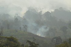 Kebakaran Lahan di Riau Mencapai 919,41 Hektare