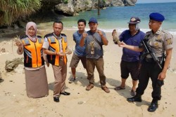Stasiun KIPM Gagalkan Penyelundupan Lobster Bertelur di Adisutjipto