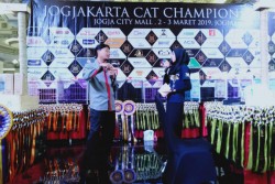 Tingginya Minat Memelihara Kucing Belum Diimbangi Kesadaran Konsultasi ke Dokter Hewan