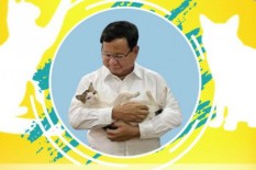  Seru Nih, Ada Lomba Kucing Mirip Bobby, Peliharaan Prabowo