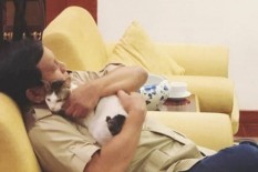 Gerindra Gelar Lomba Mirip Bobby, Kucing Kesayangan Prabowo
