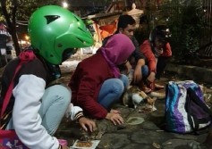 KOMUNITAS: Mengulurkan Tangan untuk Kucing Telantar