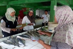 Antisipasi Formalin, BKIPM Jogja Ambil Sampel Ikan di Pasar Tradisional