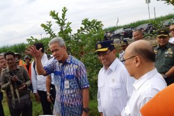 Kemenhub Belum Pastikan Larangan Penerbangan Boeing 737 Max 8 Sampai Kapan