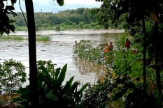 Padi Terendam, Petani di Semanu Terancam Gagal Panen