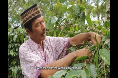 Wow, Film Kopi Nusantara Pernah Raih best Editing