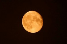 BMKG: Supermoon Equinox Tak Terlalu Berpengaruh terhadap Pasang 