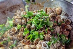 IDE BISNIS: Kerang Sang Raja, Rangkul Mahasiswa Jadi Karyawan