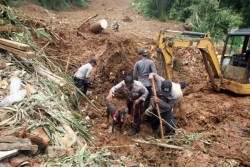 Siklon Savannah Bikin Pertanian & Perikanan Bantul Tekor Rp1,45 Miliar