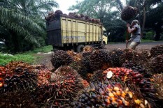 Rencana Boikot Produk Uni Eropa Bisa Jadi Bumerang