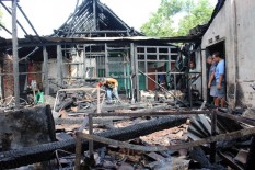 Tabung Gas Meledak, Puluhan Lovebird Jadi Korban