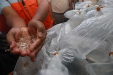 Petugas Gagalkan Penyelundupan Lobster Senilai Rp3,9 Miliar
