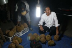  Gaya Jokowi Jongkok di Pinggir Jalan Saat Memilih Durian Bikin Pedagang Kaget