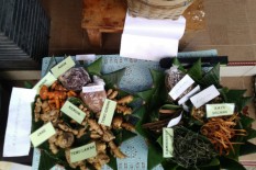 Kelompok Perajin Jamu Ini Terkendala Pengurusan Legalitas