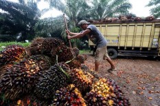 Masa Depan Industri Sawit Masih Cerah