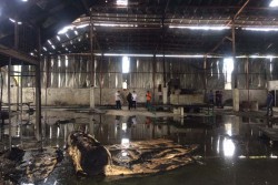  Kebakaran di Pabrik Springbed di Sleman, Ruang Produksi Ludes