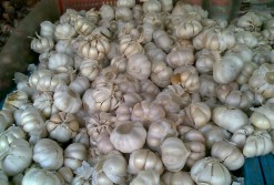 Dinas Perdagangan Tak Berdaya Tekan Harga Bawang Putih