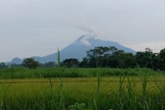 Luncuran Awan Panas Sampai 1.100 Meter, Merapi Tetap Waspada