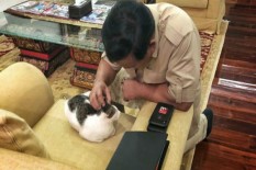 Bukan Pencitraan, BPN Benarkan Prabowo Bisa Bicara dengan Nyamuk dan Semut
