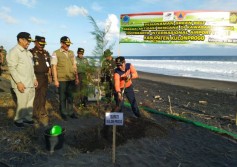 Redam Ancaman Tsunami, 2.000 Pohon Cemara Udang & Pule Ditanam di Selatan Bandara Internasional Yogyakarta